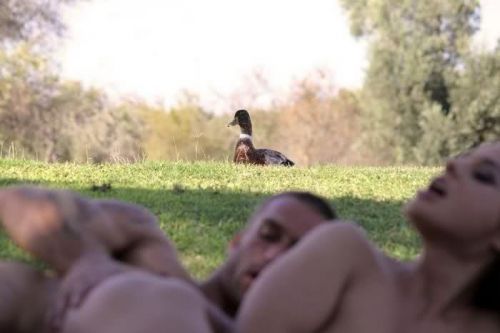 photoshopped (duck) - - Cathy Heaven in a VivThomas clip - - http://xhamster.com/movies/1540108/jamie_in_heaven.html ~4:00-