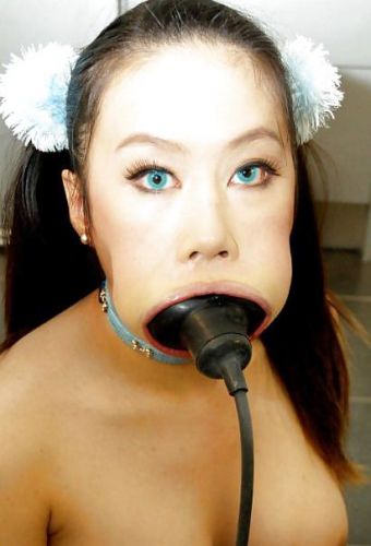 Tigerr , petgirls ~ http://bdsmqueens.com/gallery10357/asian-petgirl-is-resting-in-her-basket-with-a-tight-butt-plug-in-her-ass-inflatable-rubber-gag-is-also-featured ... http://www.bensoncash.com/petgirls/tigerr-gag-buttplugged/index.php?92