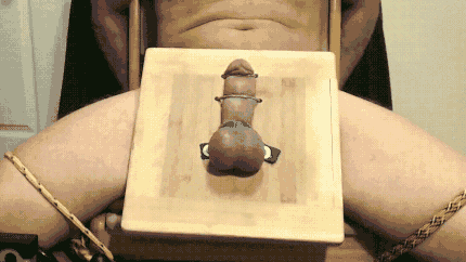 https://fr.xhamster.com/videos/extreme-penis-spanking-by-machine-xhRSyFn