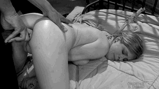 Penny Pax