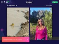 WHO IS THIS GIRL???? PLEASE HELP