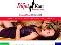 Independent Escort in Chandigarh