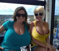 name this two big tit please ?
