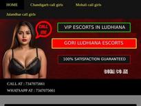 Ludhiana call girls