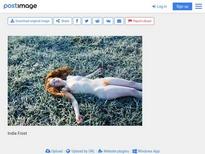 in the filename
