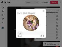 What's the name of this pornstar?