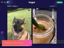 What's the name of this pornstar?