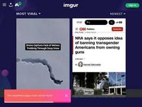 Ginny (an original character) by the artist GorillaKingH: https://www.hentai-foundry.com/pictures/user/GorillaKingH/452761/Newcommer -----
 https://rule34.xxx/index.php?page=post&s=view&id=2136832