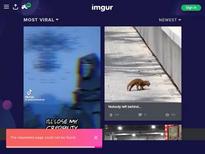 What's the name of this pornstar?