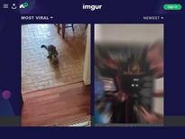 What's the name of this pornstar?