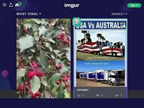 What's the name of this pornstar?