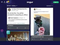 Febby Twigs sucking the dong of Freddy Gong in a video entitled, 