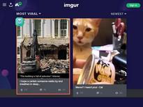 Nadia Love https://trannyvideosxxx.com/pure-ts-nadia-love-her-massive-boobs-are-mesmerizing-to-a-lucky-client/