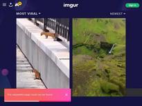 Zoe Morrell http://x.imagefapusercontent.com/u/byron007/6815644/963269615/zoe-morrell-AT-13.jpg http://www.erosberry.com/search/zoe+morrell.html http://www.freeones.com/html/z_links/Zoe_Morrell/