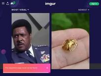 ZAYA CASSIDY cumshot facial indian girl TeamSkeet - Google Search
https://www.google.com/search?q=ZAYA+CASSIDY+cumshot+facial+indian+girl+TeamSkeet&newwindow=1&hl=en&sxsrf=ACYBGNSQccHiU5C6D4Ub6Laus8tul7EiMA:1574871808022&source=lnms&tbm=isch&sa=X&ved=2ahUKEwiWgrzV5ormAhUCXK0KHYobCyEQ_AUoAnoECB8QBA&biw=1525&bih=734#imgrc=Ohlk81FWmr-UAM: