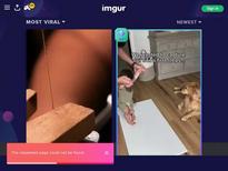 What's the name of this pornstar?