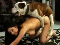 https://madnessporn.com/video/dangerous-coed-whore-sucking-dog-cock-in-this-sensational-xxx-amateur-beast-fetish-video-18867.html