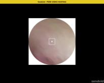 What's the name of this pornstar?