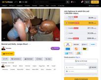 Name and full video link 