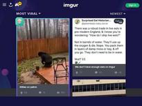 What's the name of this pornstar?