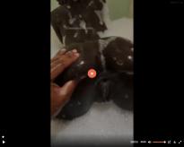 What's the name of this pornstar?