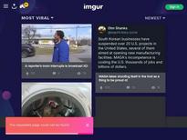 Whats the name of this shemal ?