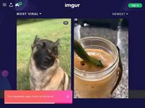 What's the name of this pornstar?