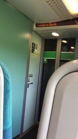 British girl flashing on train