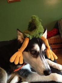 What's the name of this pornstar?