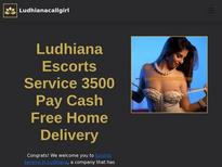 Ludhiana escort service