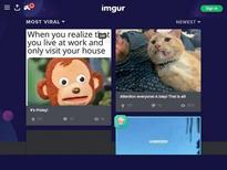 Nerissa Irving   |
https://exquisiteslave.com/nerissa-irving-is-a-model-from-jamaica/   |
https://www.bluegartr.com/bucket/gallery/viewimage/34971   |
https://ruero.com/23891-mike-dowson-stilnaya-yerotika.html