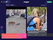 hashtagyoloswaggang - http://www.reddit.com/user/hashtagyoloswaggang/submitted/ (delete) - repost - https://idol.sankakucomplex.com/?tags=hashtagyoloswaggan - http://namethatpornstar.com/thread.php?id=404980