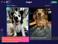 Ellie Leen https://www.porndude.wtf/videos/440231/ellie-leen-ellieleen1-itsnotellieleen-aka-itsnotellieleen-aka-ellieleen-slutty-female-gently-pulls-wet-pink-hole/