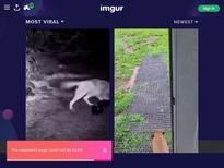 What's the name of this pornstar?