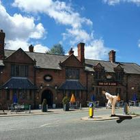 Woman looks like Moyra (Melons / Mounds / Danhieux / Pethybridge)