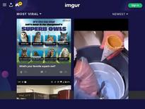 Blanc Noir / Missnoir