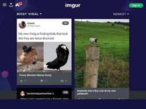 Other pics of the unknown: https://pic.nudedworld.com/202110/13/11/sik3vkpwhwc.jpg https://avatars.mds.yandex.net/i?id=09a780026fbed4c98d7c14420c950f0490dcce17-7758455-images-thumbs&n=13. Pimeyes thinks that she is Cory Lane, this time with the rarer dark hair and not with the usual blond. I think that the face could match. But I am still somewhat sceptical because I could not find this particular set with Cory. And the resolution is too low to compare moles or the ring the unknown wears with pictures of Cory. https://www.indexxx.com/m/cory-lane http://vintage-erotica-forum.com/t25928-cory-lane.html 