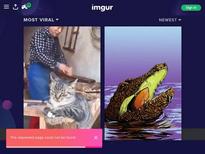  Bambino, Jade Jantzen and Delilah Blue in Celebration Sucking