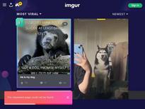 Where can I find this video?