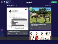 Carly Rae - Tasty Awakening