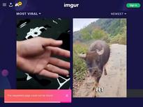 Angel Desert
Desert Angel