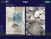 Angellina aka Lidia B. Scene is from 