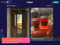 Penelope Kay and Ginger Gray in https://myfamilypies.com/video/watch/152740/is-that-a-shark-in-your-pants-s26e3