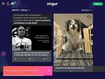 FirstAnalQuest Sweet Butterfly ... http://www.pornteengirl.com/model/sweet-butterfly.html