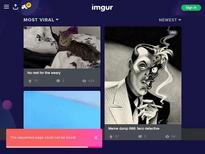 Isabella Clark
Scene Sz1162
