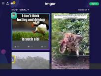 Alaina Kristar @ http://www.data18.com/content/1151585