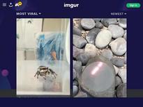 Ginebra Bellucci  https://lovetorrent.net/290399557-dorcelclubcom-ginebra-bellucci-(-two-men-for-ginebra-)-2021-g--all-sex-hardcore-couples-threesome-1080p.html