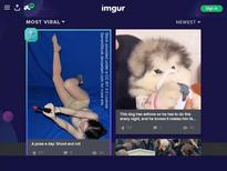 Irina Bruni - I think he's right - http://namethatpornstar.com/thread.php?id=2046958