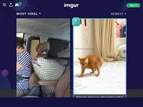 Jade Jantzen (the other not already named is 2nd from right, Brittany Shae)  https://www.flyflv.com/movies/36178/green_makes_the_titties_come_out