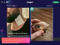 What's the name of this pornstar?